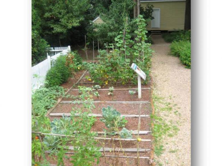 WPL Kitchen Garden
